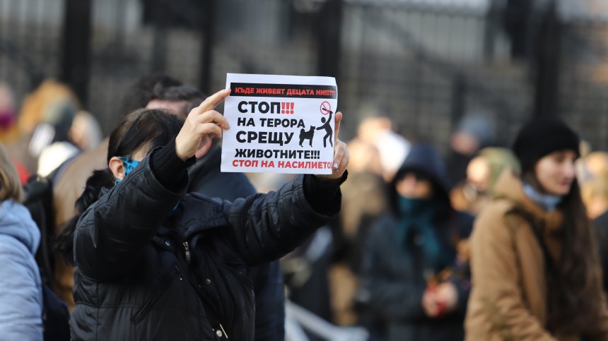 За ефективни присъди над насилниците на животни протестираха в няколко града
