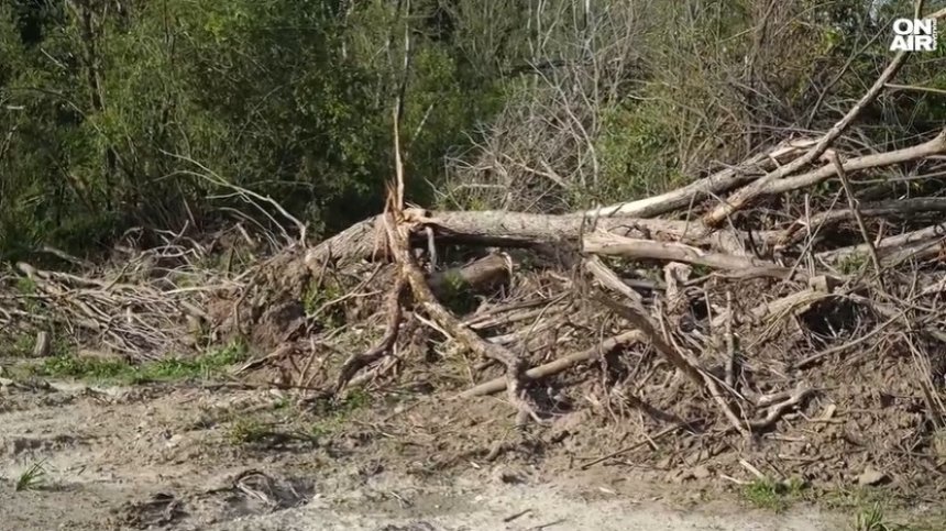Незаконна сеч и водовземане заплашват село от наводнение, жителите са възмутени