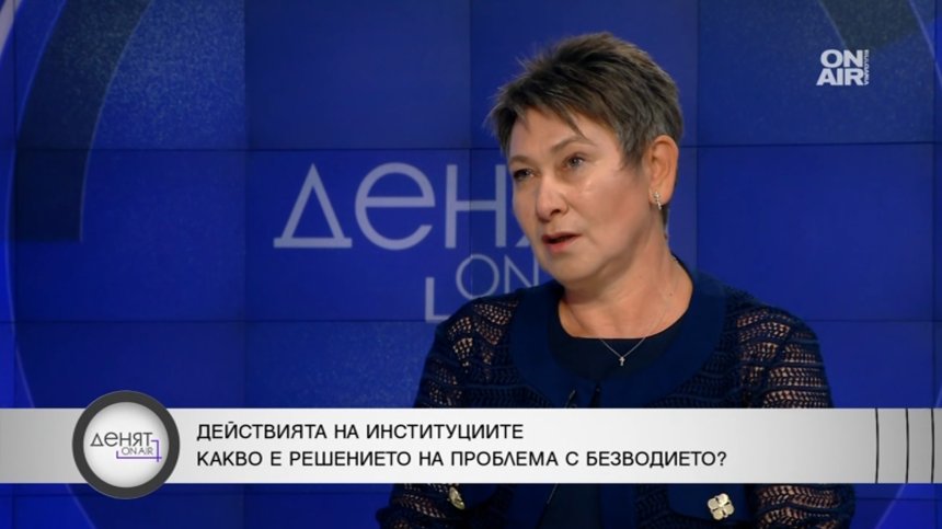 Бивш министър на икономиката: Безразборно изсичане на горите и логична водна криза
