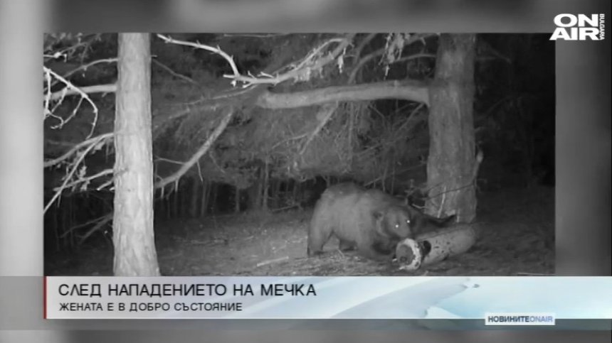 Късна емисия