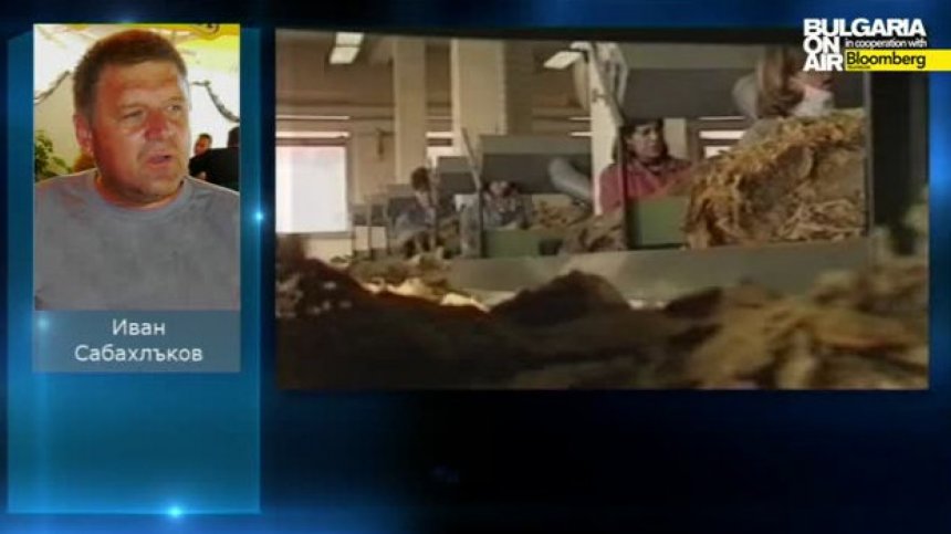 Протести на тютюнопроизводители в Гоцеделчевско
