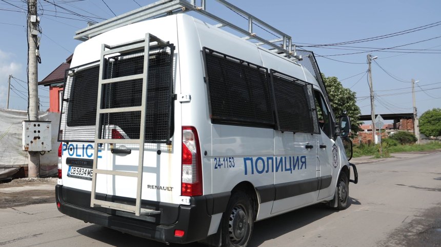 Убита сърна в чувал, застреляни овце и пребито теле - жестокости към животни в Търновско