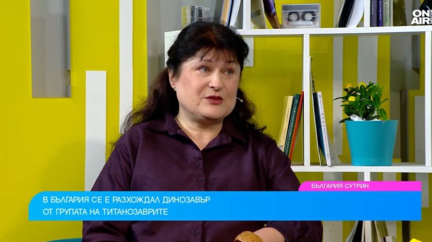 По стъпките на българските динозаври: От Червен бряг до находките в Трънско