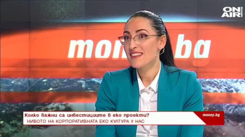 Как се постига корпоративна устойчивост и колко важно е инвестирането в екопроекти?