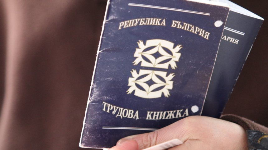 Не искат да работят? Над 2 000 безработни в Плевен при 317 обяви за свободни позиции