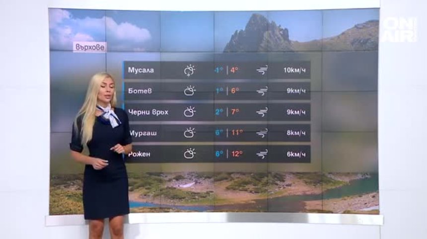 Централна прогноза