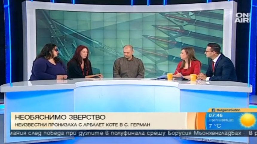 Фондация "Четири лапи": Престъпно е, че властите възприемат насилието над животни като маловажен проблем