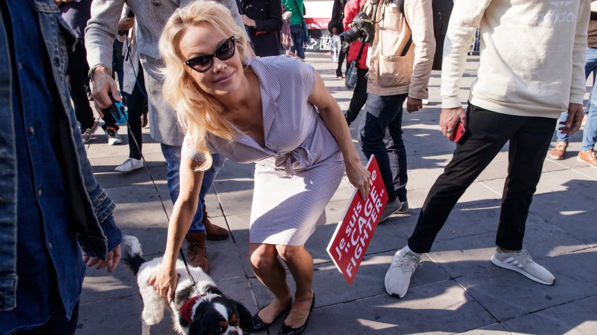 Година след последния развод: Памела Андерсън отново се омъжи