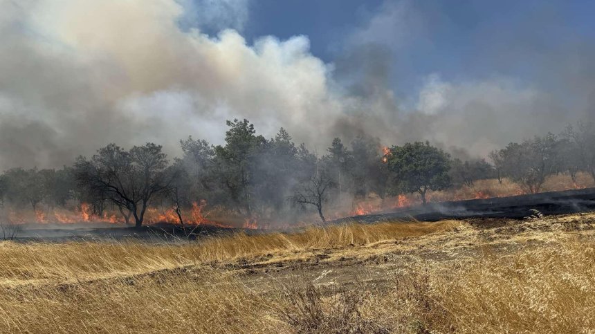 Сухи треви горят между Стралджа и пътен възел "Петолъчката"