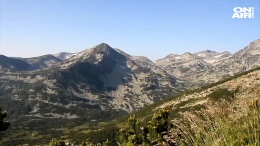 Една фалшива новина от България обиколи света за часове