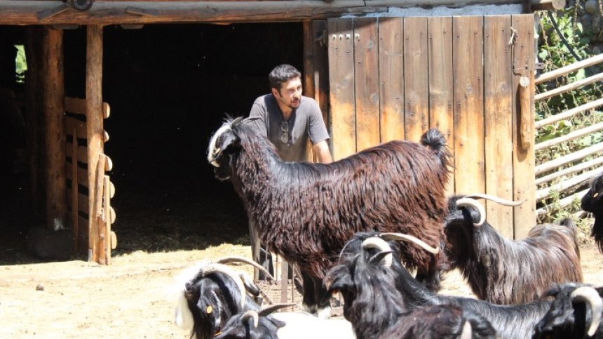 Фермата за животни на братя Седефчеви остава във Влахи