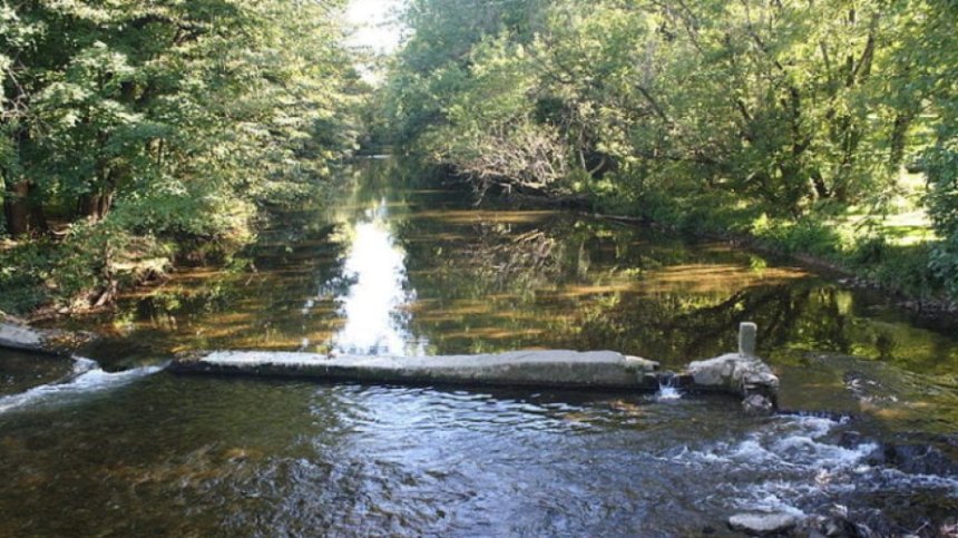 43-годишен мъж се удави във водите на Бели Вит
