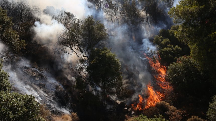 Пожарите в Гърция са унищожили рекордна площ земя през юни