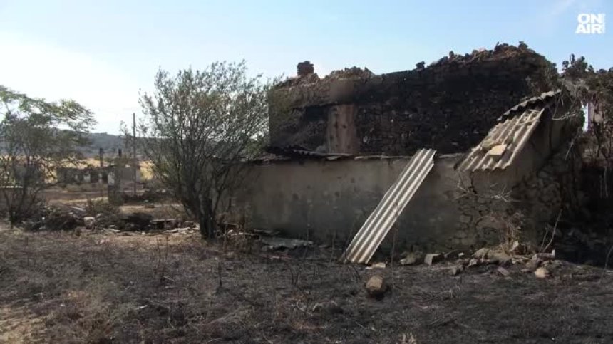 Огромни щети в Сакар планина: Животновъдите са обречени на гибел