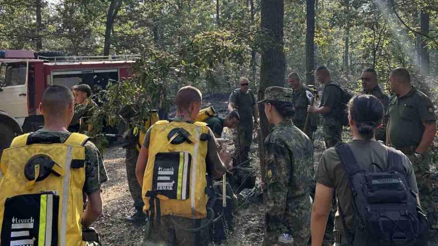 Военни от Сухопътните и ВВС гасят и днес големия пожар в Пирин