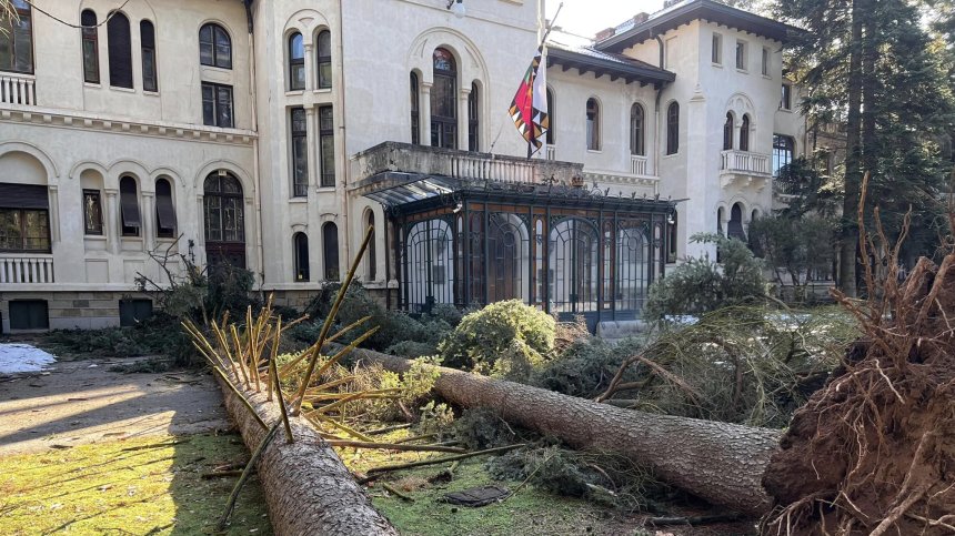 МРРБ отговори на Симеон Сакскобургготски за загиващия парк "Врана"