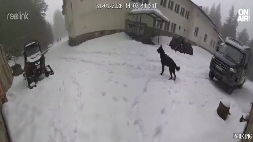 Доц. Милен Иванов за "Петрохан": Феномен е човек да се самоубие два пъти с изстрел в главата