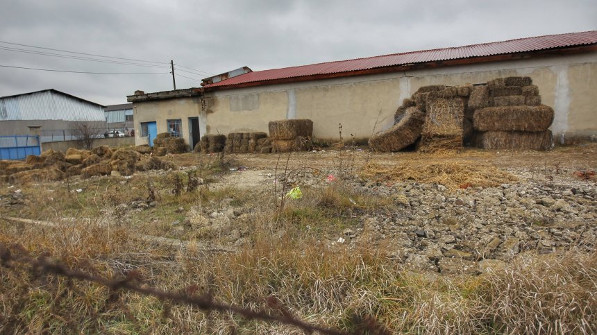 Разбитата ферма за криптовалута - най-мащабната кражба на ток в историята на ЧЕЗ