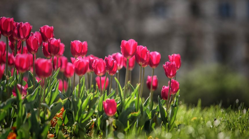 Времето на Велики четвъртък - облачно и дъждовно, но сравнително топло