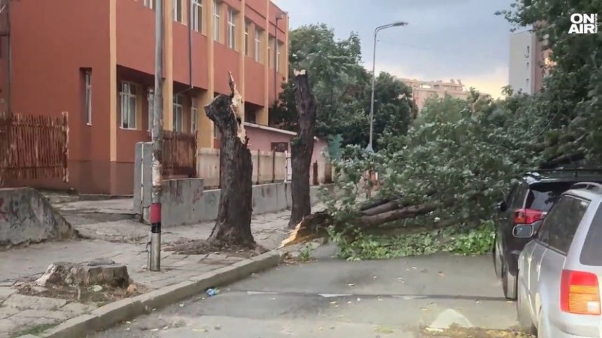 Парк "Пирин" продължава да гори, бурята в Петрич е била страховита (ВИДЕО)