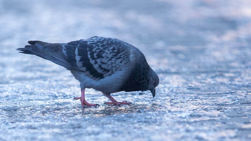 Нов циклон ще донесе обилни снеговалежи в страната