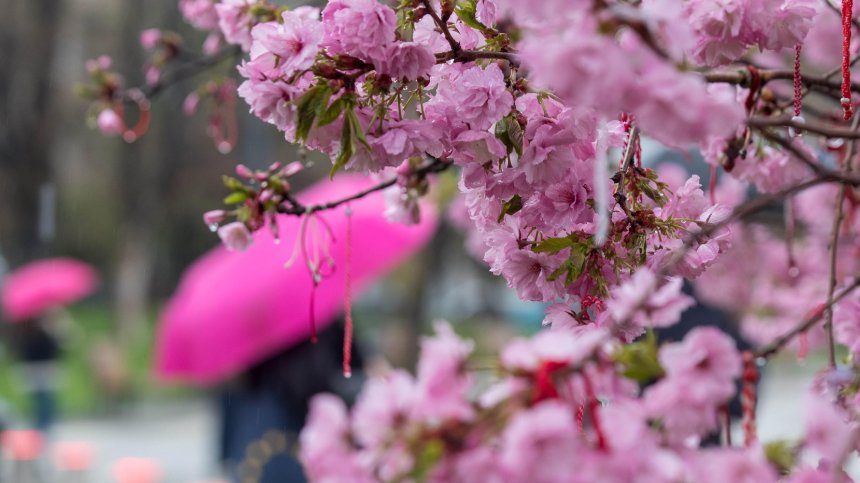 Скоро температурите ще надвишават 20 градуса, но на Великден ще вали дъжд