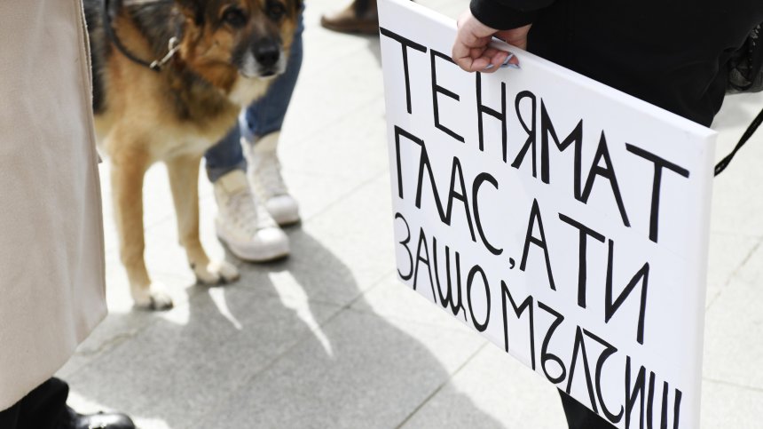 Протести за максимални наказания за мъчителите на животни