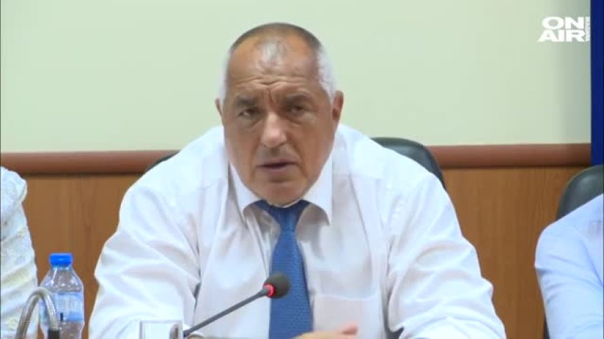 Премиерът предложи мерки и компенсации за стопаните на прасета