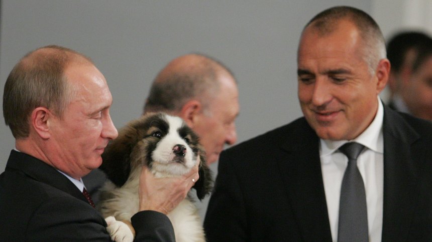 Борисов: Обслужват диктатора Путин! Ще ме иронизират от ДБ, те мачка не са отгледали