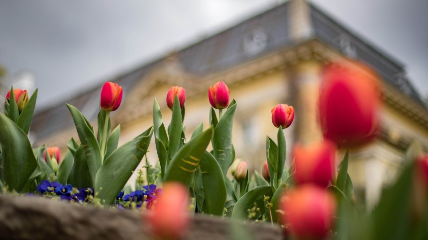 Времето днес: Ветровито и по-топло, с валежи на места