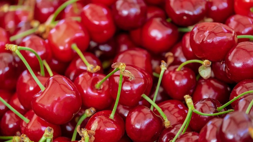 Търговци ни мамят, че ядем кюстендилски череши, още не са и обрани