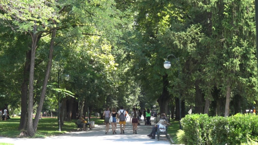 Насилието между деца в Пловдив - планувано от фенове на "Ботев"
