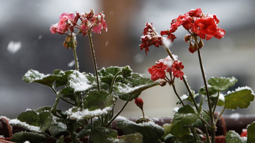 Лют студ и изненади: Ето каква зима очаква България