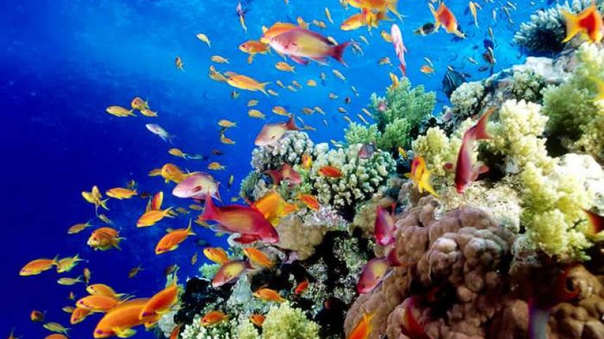 10 световни чудеса, които са застрашени от изчезване