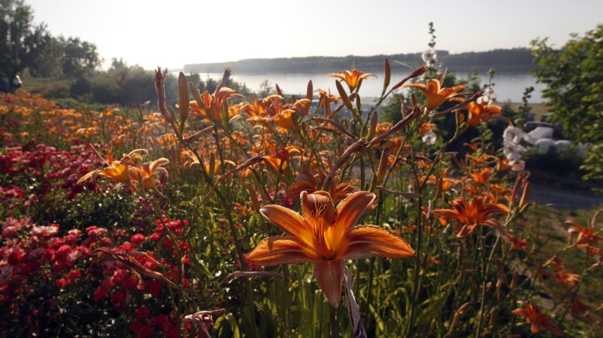 Високи температури и слънце днес, хладна вълна и бури в петък