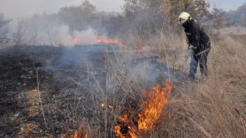 WWF: Средно по 120 000 декара гори изгарят всяка година в България