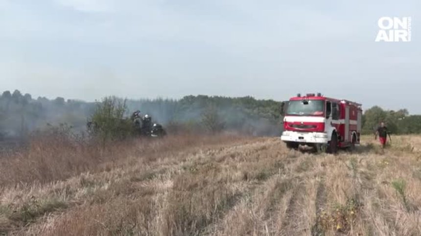 Пожар изпепели около 800 декара растителност край Хасково