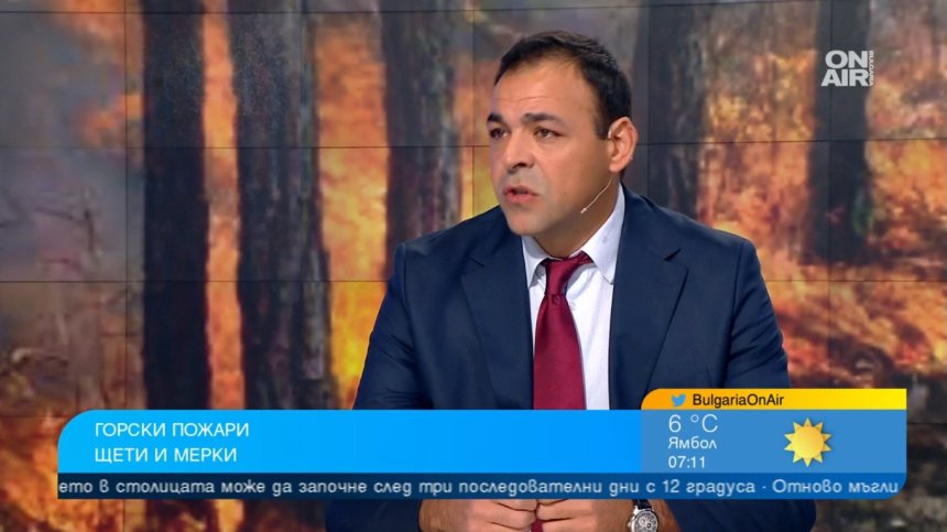 Шефът на Агенцията по горите алармира: Зачестяват случаите на незаконни дърва за огрев