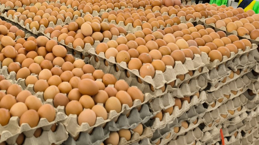БАБХ: Контролираме строго вноса на продукти от Украйна, няма установени тежки метали и радиоактивност