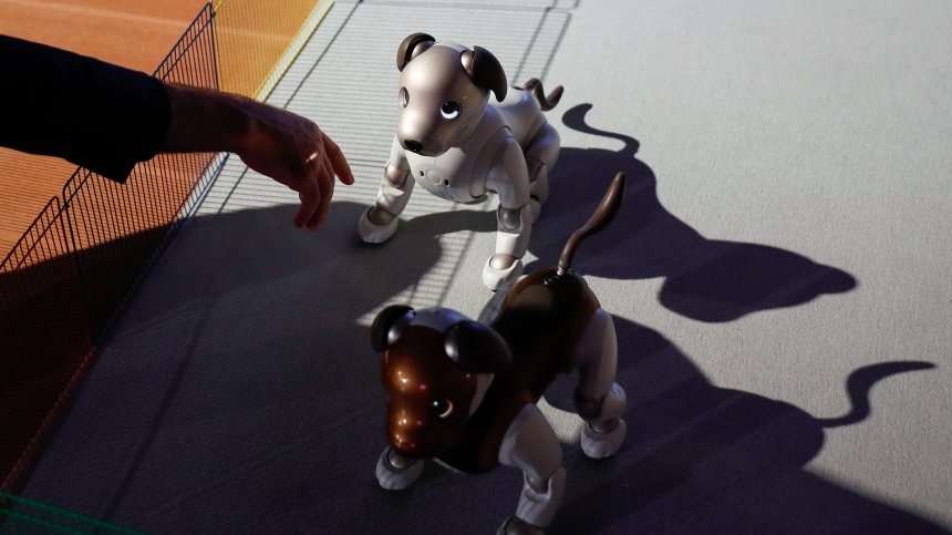 Роботизиран домашен любимец разработват от български стартъп