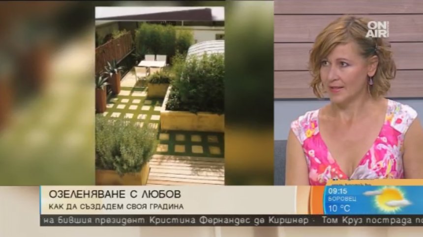 Панелната тераса или как да имаме висяща градина без да сме Семирамида