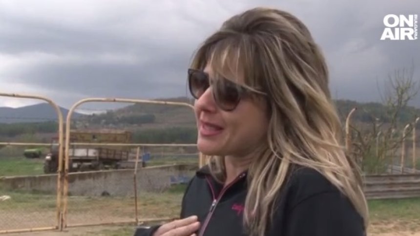 Куче нахапа жена в Павел баня, уби нейното чихуахуа в ръцете ѝ