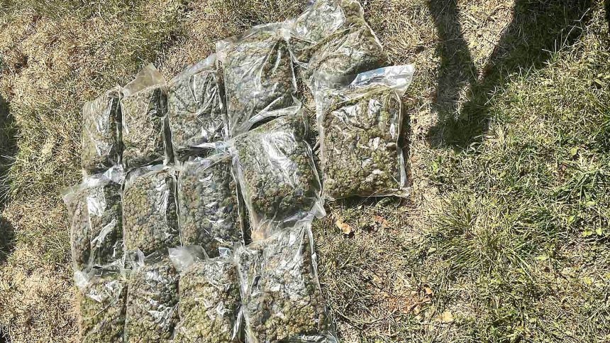 Спипаха двама по време на сделка с 15 кг марихуана