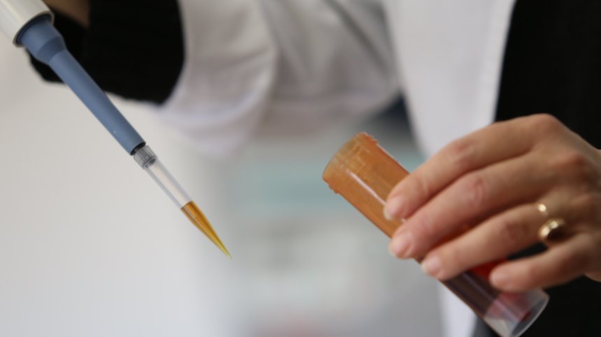 Германски лекар издава фалшиви PCR сертификати за туристи в Майорка