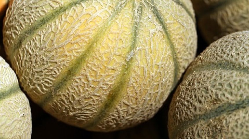 HelpBook: Закупих пъпеш от столичен пазар, все едно ядеш химикали