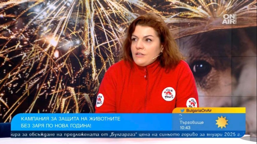 Има начини да се забавляваме и без пиротехника на Нова година