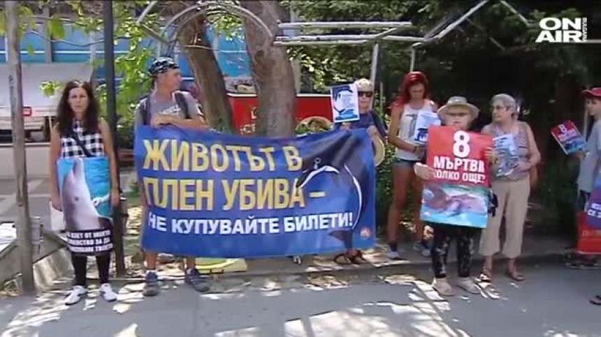 Природозащитници поискаха затваряне на Делфинариума във Варна
