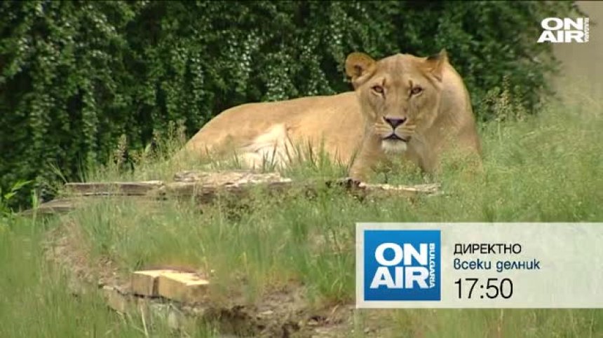 В предаването "Директно" от 17:50 ще видите