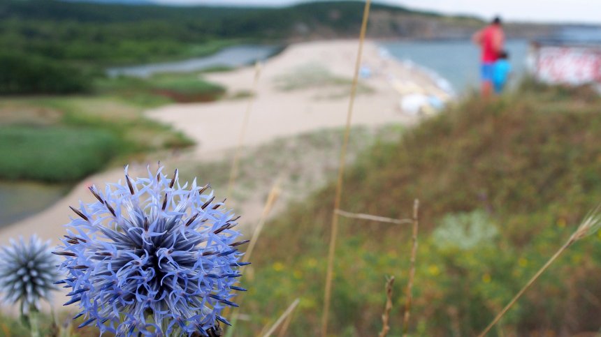 Обявиха кога влиза в сила лятната забрана за строителство в Царево и Ахтопол