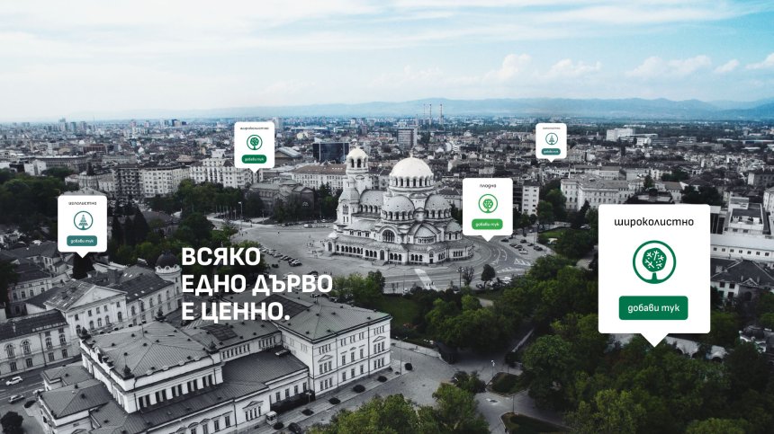 Стартира инициативата ЕдноДърво за създаване на интерактивна дигитална карта на дърветата в София